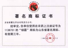 http://zgdspjc.cn/2013/ShanDong/pho/rongyu/1136731.jpg